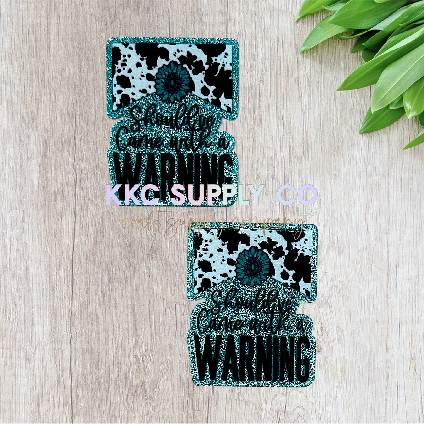 AT358-Should've Come With A Warning-Acrylic Flatback