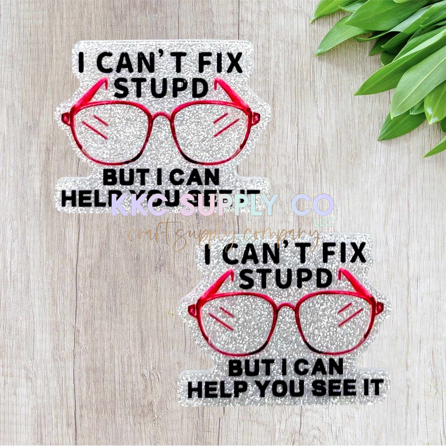 AT55-I Can’t Fix Stupid But I Can Help You See It-Acrylic Flatback