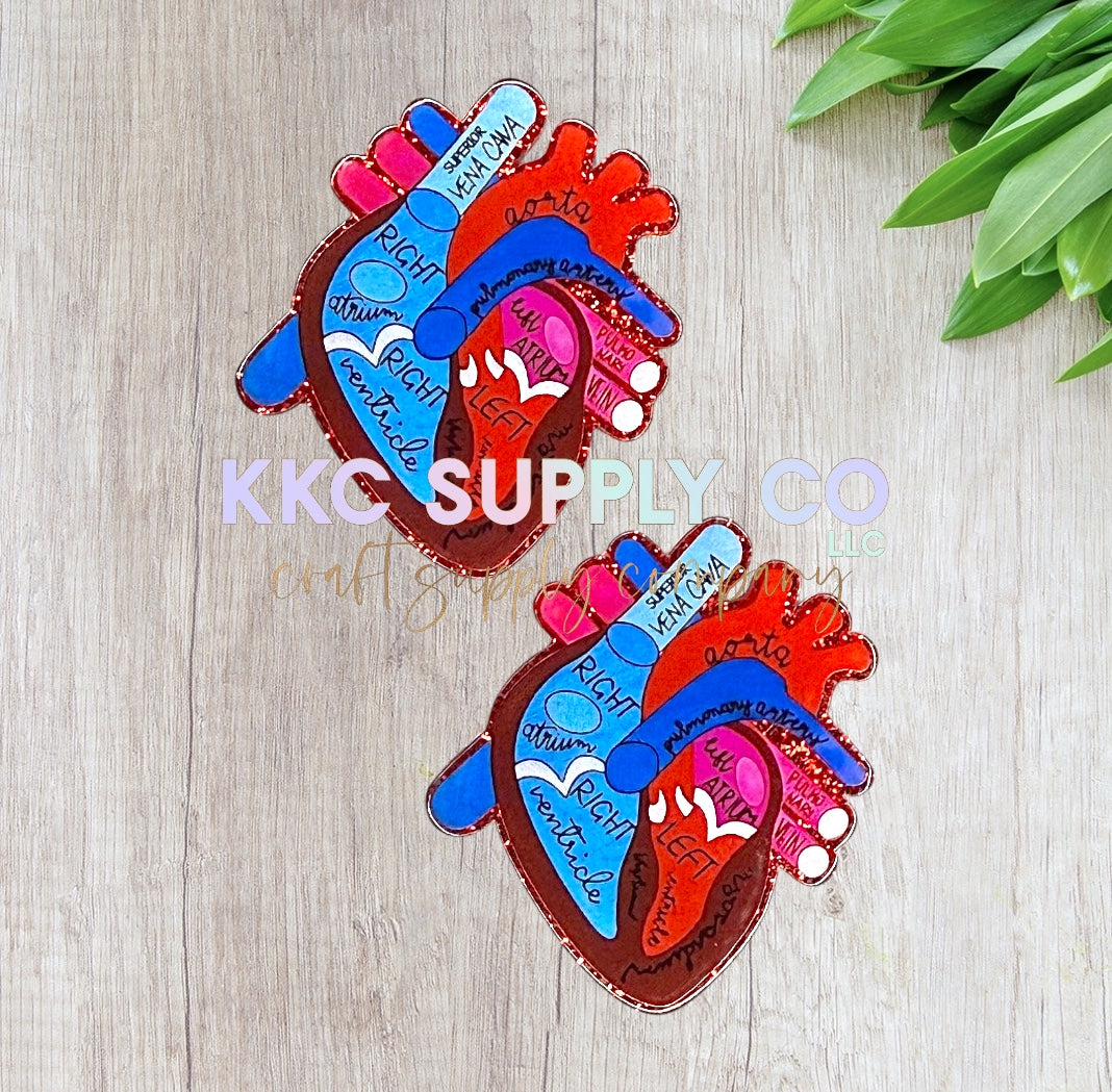 AT240-Anatomical Heart-Acrylic Flatback