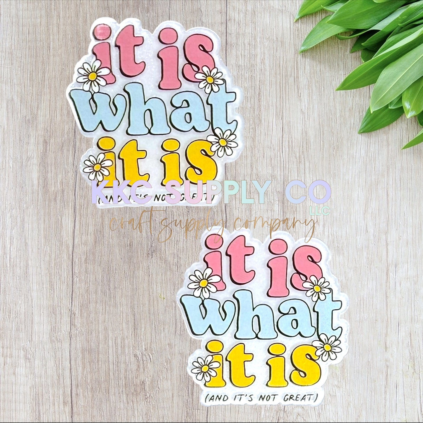 AT244-It Is What It Is (And It's Not That Great)-Acrylic Flatback