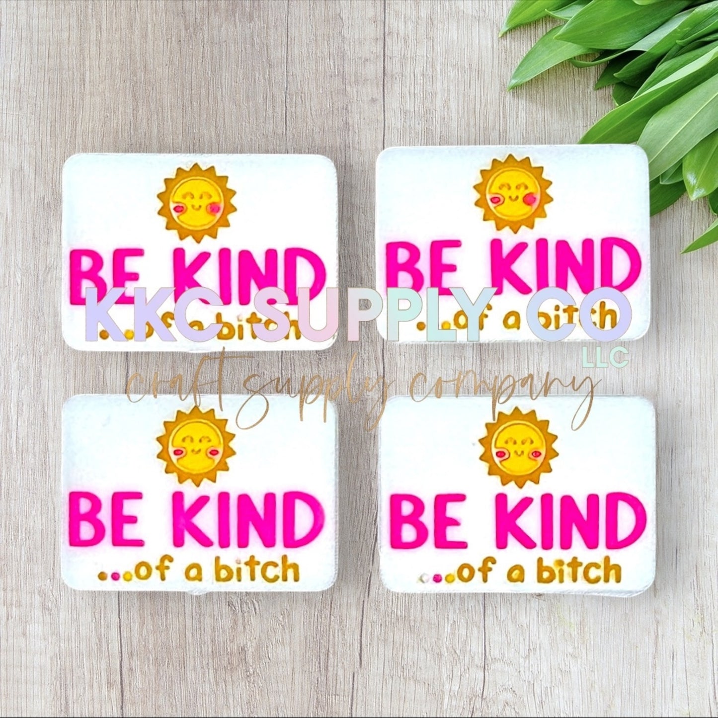 Be Kind…Of A B!tch Silicone Focal Bead