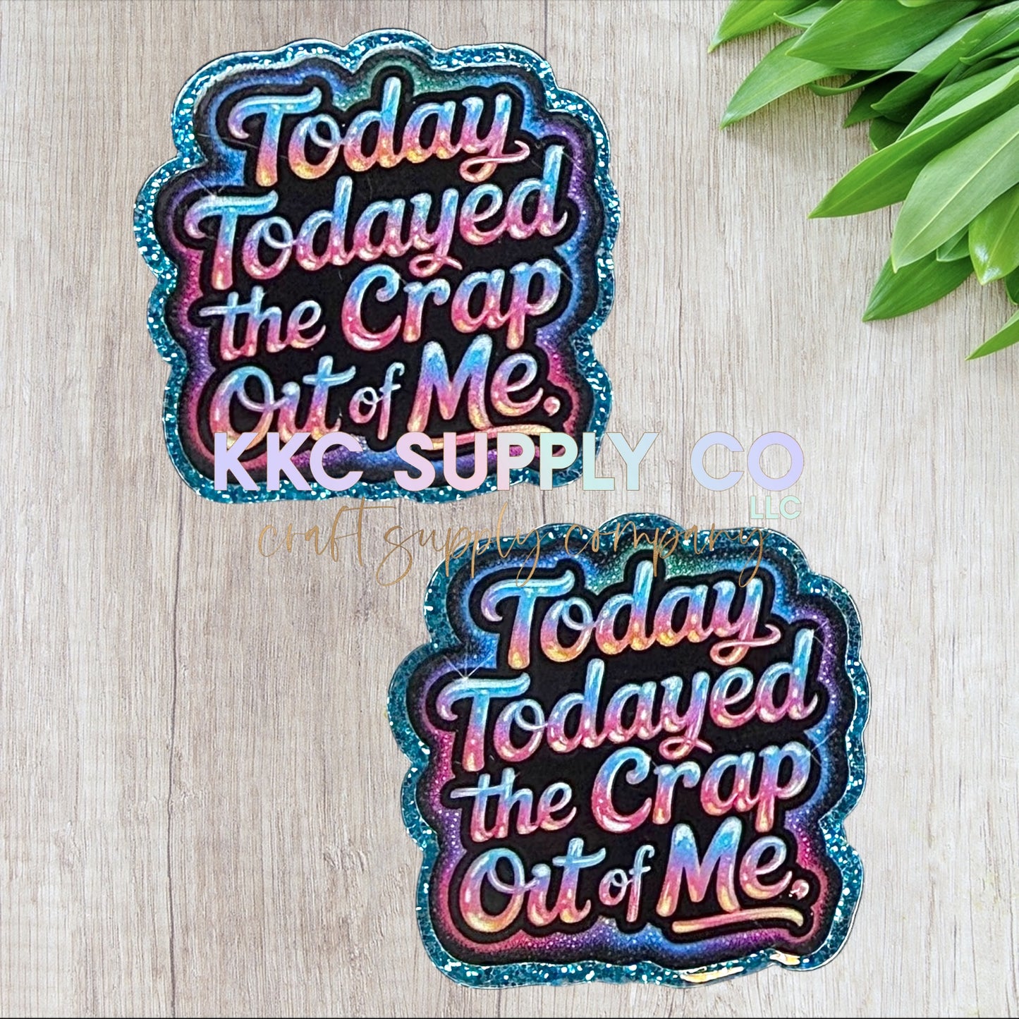 AT359-Today Todayed The Crap Put Of Me-Acrylic Flatback