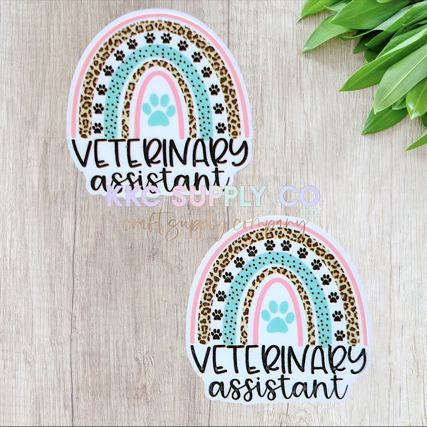 AT444-Veterinary Assistant Acrylic Flatback