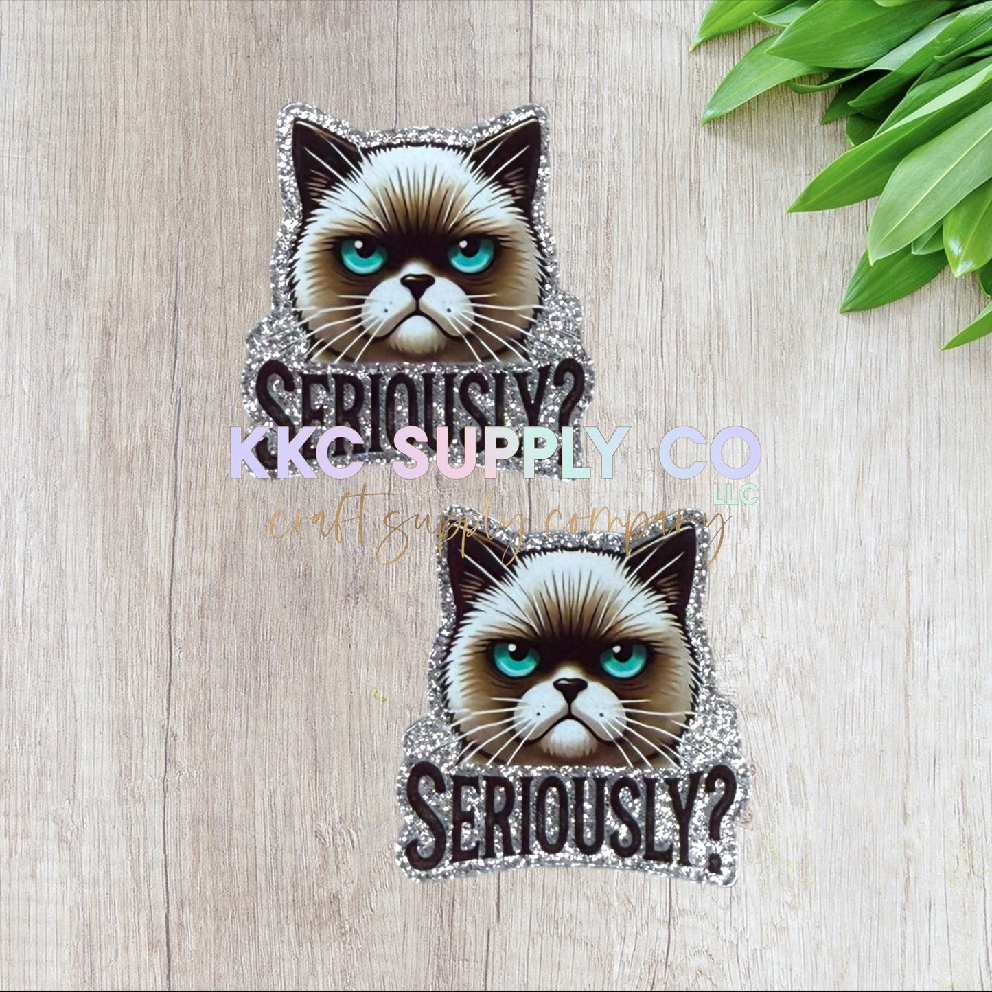 AT290-Seriously?-Acrylic Flatback